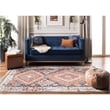Safavieh Farmhouse 3' x 5' Rug in Orange and Navy