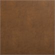 Safavieh Maruka Faux Leather Storage Bench in Brown and Black