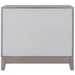 Safavieh Shannon Mirrored Accent Chest in Champagne