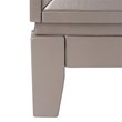 Safavieh Shannon Mirrored Accent Chest in Champagne