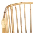 Safavieh Siena Rattan Dining Arm Chair in Natural and Black