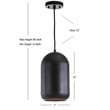 Safavieh Carisir Pendant Light in Black