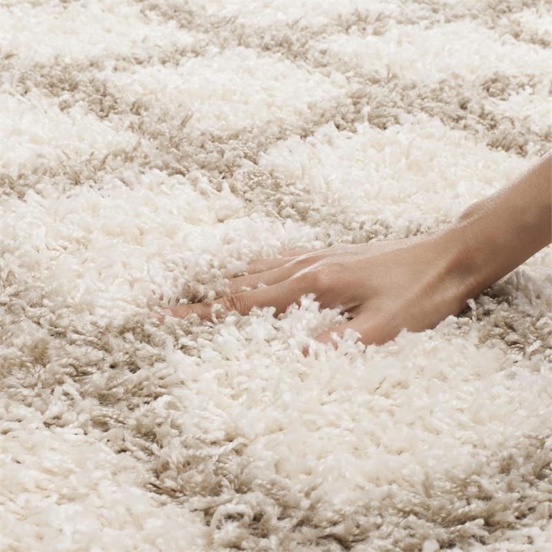 Safavieh Dallas 3' x 5' Shag Rug in Ivory and Beige