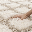 Safavieh Dallas 3' x 5' Shag Rug in Ivory and Beige