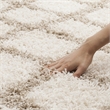 Safavieh Dallas 6' x 9' Shag Rug in Ivory and Beige