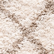 Safavieh Dallas 6' x 9' Shag Rug in Ivory and Beige