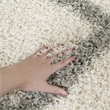 Safavieh Dallas 4' x 6' Shag Rug in Ivory and Gray