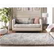 Safavieh Pro Lux 5' x 8' Shag Rug in Gray and Cream