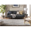 Safavieh Pro Lux 4' x 6' Shag Rug in Gray and Cream