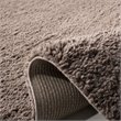 Safavieh August 3' x 5' Shag Rug in Taupe