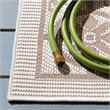 Safavieh Bermuda 4' x 6' Rug in Ivory and Beige