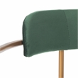 Safavieh Camille Velvet and Iron Side Chair in Green / Gold (Set of 2)