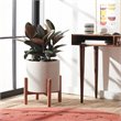 Safavieh Jesper Concrete Ficonstone/Acacia Wood Planter in Natural/Light Gray