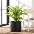 Safavieh Braslen Round Cylinder Concrete Ficonstone Planter in Black