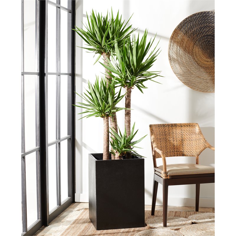Safavieh Kendri Concrete Ficonstone Outdoor Planter in Black