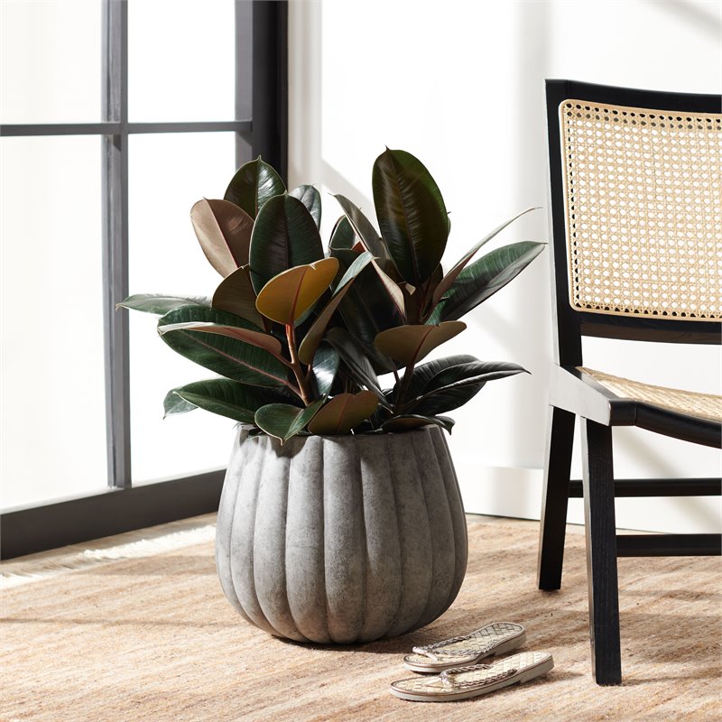 Safavieh Kaston Contemporary Concrete Ficonstone Outdoor Planter in Gray