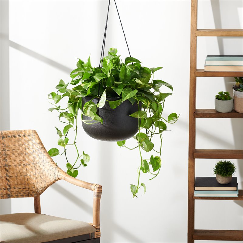 Safavieh Rancer Concrete Ficonstone Outdoor Planter in Black