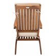 Safavieh Palmdale Acacia Wood/Polyester Lounge Chair in Natural and Beige