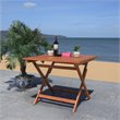 Safavieh Kresler Eucalyptus Wood Outdoor Folding Table in Natural