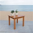 Safavieh Randor Eucalyptus Wood Outdoor Folding Table in Natural