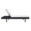 Safavieh Cam Polyester/Wicker/Steel Frame Outdoor Sun Lounger in Black and Beige