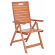 Safavieh Rence Eucalyptus Wood Outdoor Folding Chair in Natural (Set of 2)