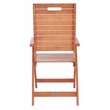 Safavieh Rence Eucalyptus Wood Outdoor Folding Chair in Natural (Set of 2)