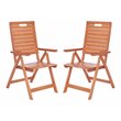 Safavieh Rence Eucalyptus Wood Outdoor Folding Chair in Natural (Set of 2)