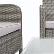 Safavieh Aboka 4-Piece Polyester Wicker/Steel Outdoor Living Set in Gray