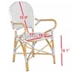 Safavieh Hooper Rattan Indoor/Outdoor Arm Chairs in Gray and White (Set of 2)