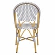 Safavieh Salcha Rattan Indoor/Outdoor Side Chairs in Gray/White (Set of 2)