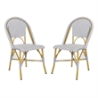 Safavieh Salcha Rattan Indoor/Outdoor Side Chairs in Gray/White (Set of 2)