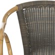 Safavieh Dagny PE Wicker / Rattan Arm Chairs in Chocolate/Light Brown (Set of 2)