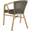 Safavieh Dagny PE Wicker / Rattan Arm Chairs in Chocolate/Light Brown (Set of 2)