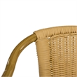 Safavieh Dagny Rattan Indoor/Outdoor Arm Chairs in Natural (Set of 2)
