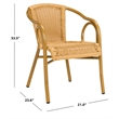 Safavieh Dagny Rattan Indoor/Outdoor Arm Chairs in Natural (Set of 2)