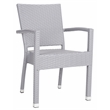 Safavieh Kelda Wicker / Rattan Outdoor Arm Chairs in Gray (Set of 2)
