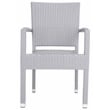 Safavieh Kelda Wicker / Rattan Outdoor Arm Chairs in Gray (Set of 2)