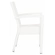 Safavieh Kelda Wicker / Rattan Outdoor Arm Chairs in White (Set of 2)