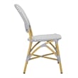 Safavieh Lisbeth Wicker / Rattan Side Chairs in Gray and White (Set of 2)