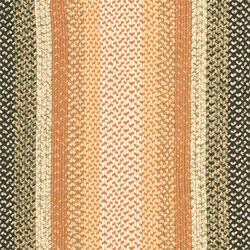 Safavieh Braided 7'-0
