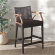 Safavieh Gianni Mahogany and Iron Counter Stool in Brown / Brown