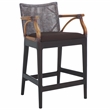 Safavieh Gianni Mahogany and Iron Counter Stool in Brown / Brown