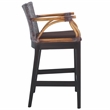 Safavieh Gianni Mahogany and Iron Counter Stool in Brown / Brown