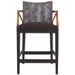 Safavieh Gianni Mahogany and Iron Counter Stool in Brown / Brown