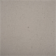 Safavieh  Devan Coffee Table in Gray