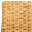 Safavieh Sanibel Wood and Rattan Side Chair in White / Natural
