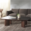 Safavieh Barnard Wood Coffee Table in Walnut