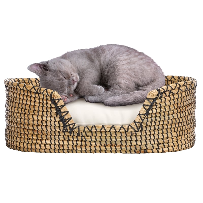 Safavieh Sarge Seagrass and Cotton  Pet Accessories in Beige / Natural