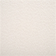 Safavieh Derrick Birch and Steel Dining Chair in Ivory